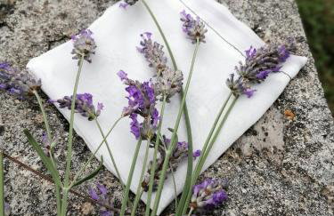 Rustic Holiday Home Miketa - Foto 62