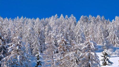 Studio au cœur du Sauze - La grande Chaume - Foto 2