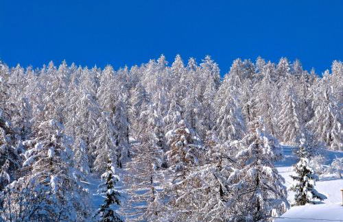 Studio au cœur du Sauze - La grande Chaume - Foto 2