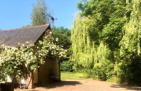 Orient House - Foto 14