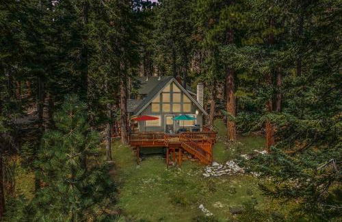 Honey Bear Cabin - Foto 39