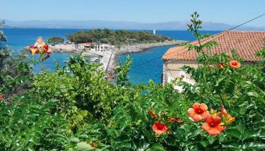 Malvazios Faragnanti #2 - Foto 2