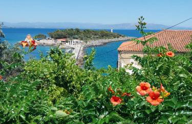 Malvazios Faragnanti #2 - Foto 2