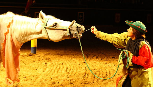 Castillo San Miguel - Entrada - Foto 2