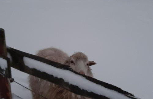 Appartement Landhaus Markus, Suderschwei - Foto 46