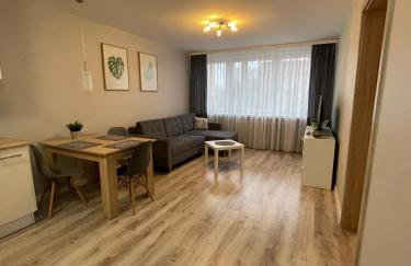 Mieszkanie w centrum z oddzielną sypialnią - Foto 3