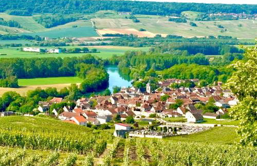 Résidence Champenoise Lancelot Rouyer ST RÉMY - Foto 37