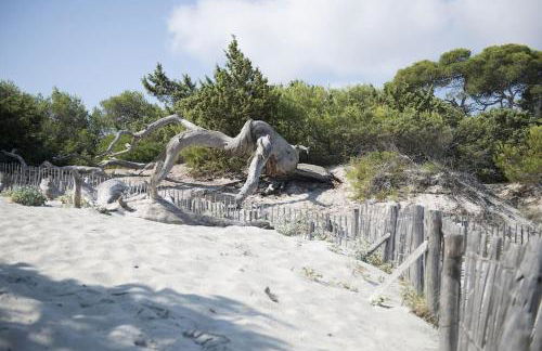 Appartement T2 Village Oletta - Foto 6