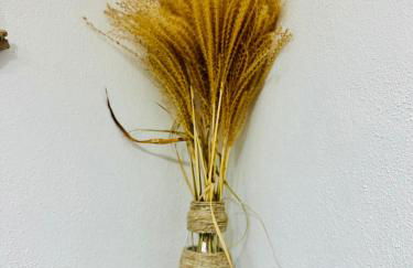 Il Giardino davanti al Mare - Foto 27