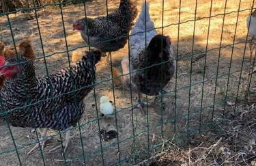 Chalet La clef des champs - Vue Imprenable - Piscine - Photo 24