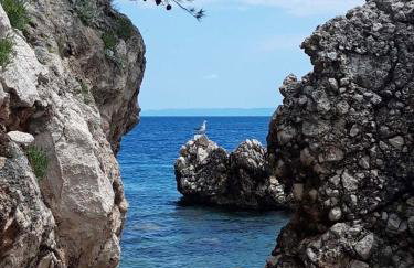 APARTMANI NOVA - Photo 14