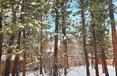 Bear Escapes II Affordable Luxury Cabin - Foto 36