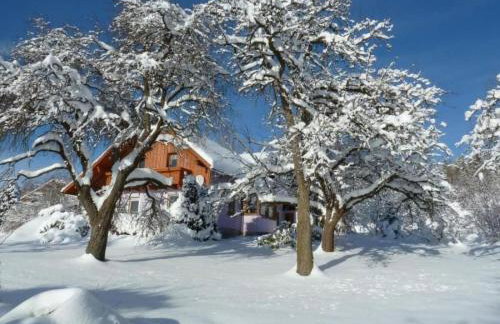 Apartment Wildfeuer by Interhome - Foto 35