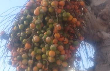 Casa Paraiso - Photo 24