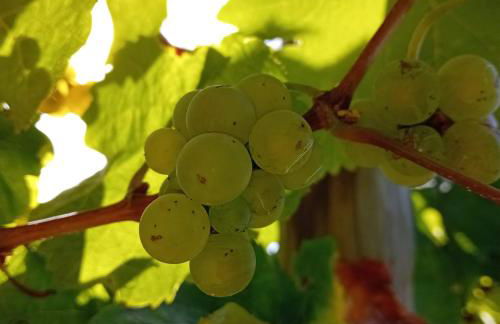 Haus Rosalinde - Photo 25