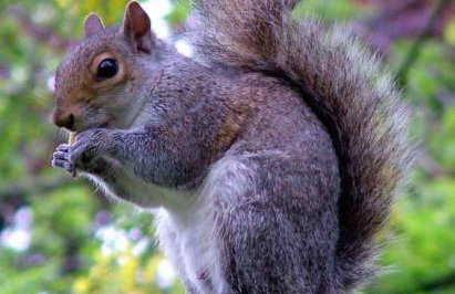 Doonbank Cottage Bothy - Foto 25