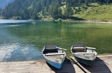 FeWo Alpenherz im Allgäu, mit Balkon und Bergblick - Foto 28