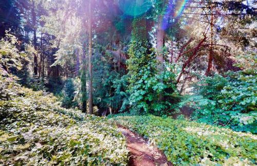 Calamity Cabin - Foto 21