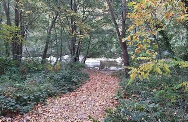 Rez de jardin cosy avec terrasse fleurie - Foto 10