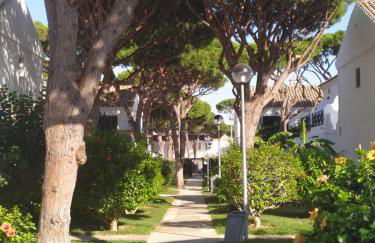 La Barrosa duplex - Foto 56