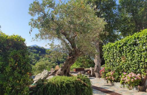 maison de charme avec piscine et vue exceptionnelle - Foto 44