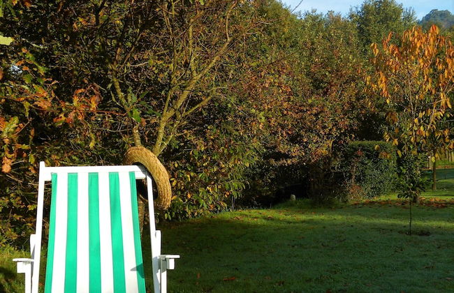 Treehouse Quinta Lamosa - Foto 14