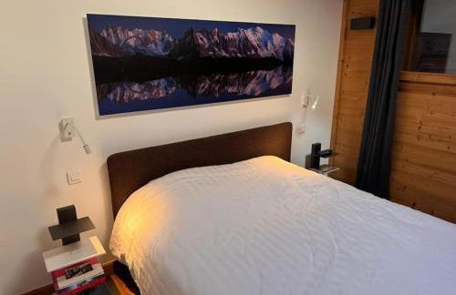 Superbe chalet vallée de Chamonix - Photo 23