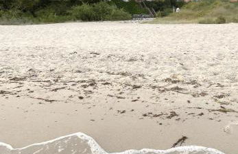 Meerblick Pelzerhaken - Foto 14