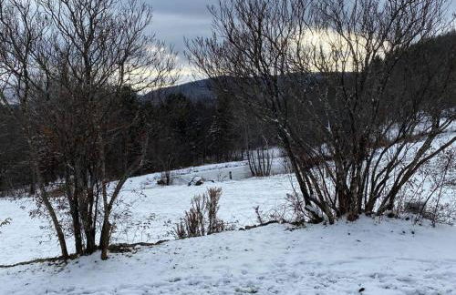 The Apartment at Sky Hollow - Foto 40