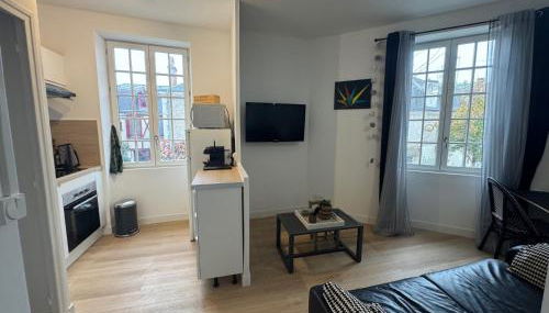 Cosy DUNOIS T2, 1 chambre, rénové avec possibilité parking - Foto 4, stove