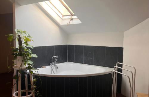 Les écuries du château - Foto 44