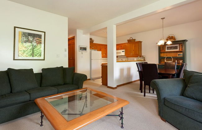 Painted Cliff by Whistler Premier - Photo 22