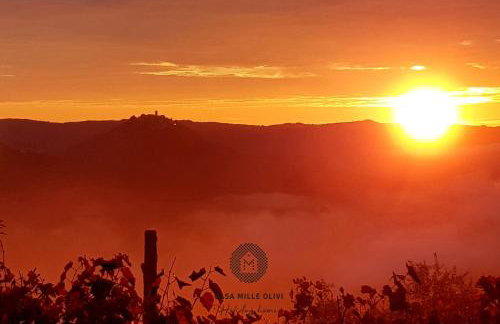 Casa Mille Olivi - Peaceful Lake View House, Private 50m2 Pool, near Motovun - Photo 50