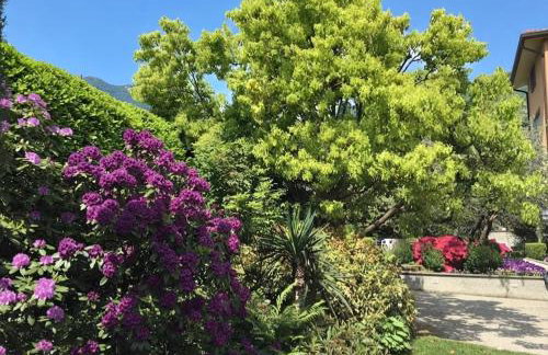 ABIES lago di Como - Foto 51