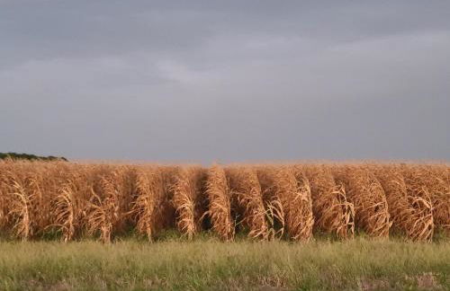 Home Away from Home 2 bedroom house - Foto 25