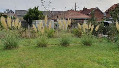Maison confortable, terrasse et jardin à Amiens - Foto 3, Garden view