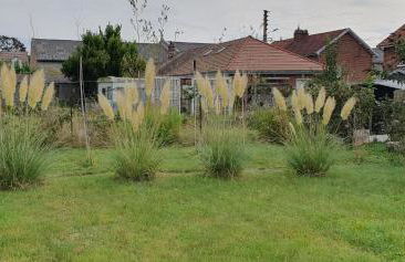 Maison confortable, terrasse et jardin à Amiens - Foto 3