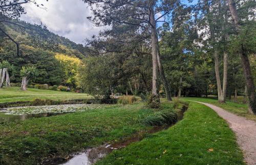 Ferienhaus am Park - Foto 49