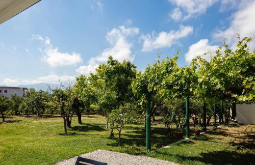 Angeliana Villa - Foto 6