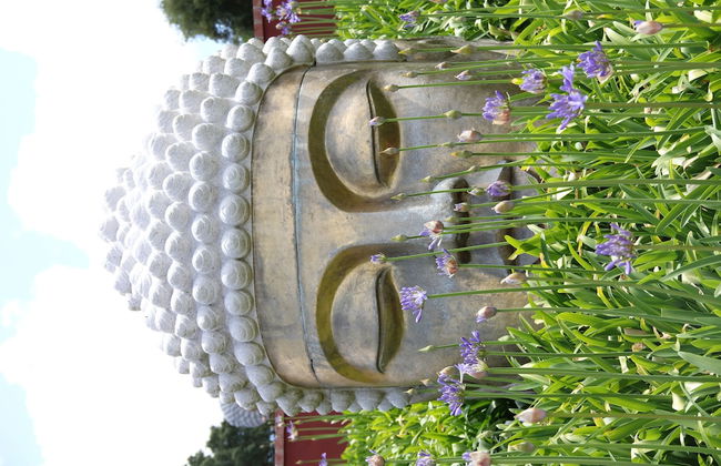 Terra Luso - Foto 54