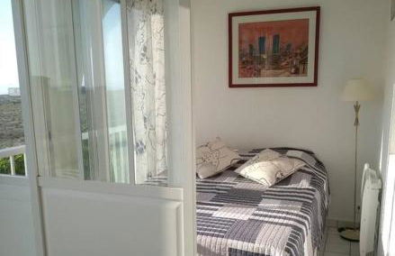 Port Leucate : superbe appartement pleine vue mer - Foto 11