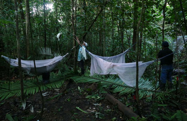 Tour di 3 giorni nella foresta amazzonica - Foto 2