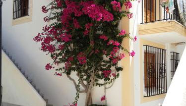 Casa sol y mar - Foto 4, Garden