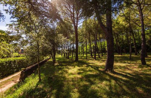 Casal Toscano - Foto 61