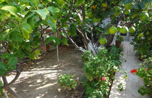 Cozy Citrus Garden House by the Seaside. - Photo 7