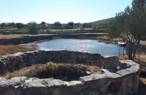 The Olive Garden - Foto 34