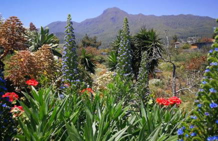 Finca Primavera - Foto 5