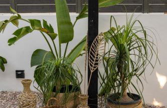 Mezcal Private Pool Villa - Foto 42