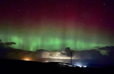 Peedie Cott Self-Catering, Orkney - Photo 17
