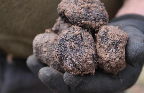 La Pintura - Photo 20